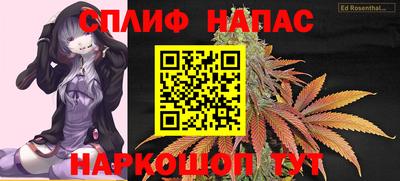 дмт Моздок