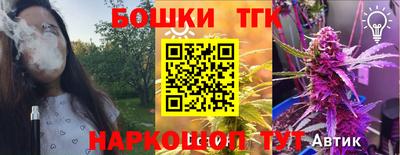 тгк Можга