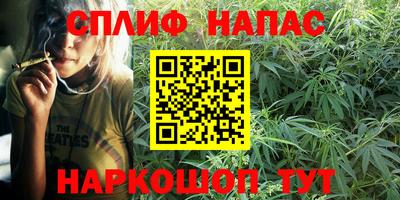 тгк Можга