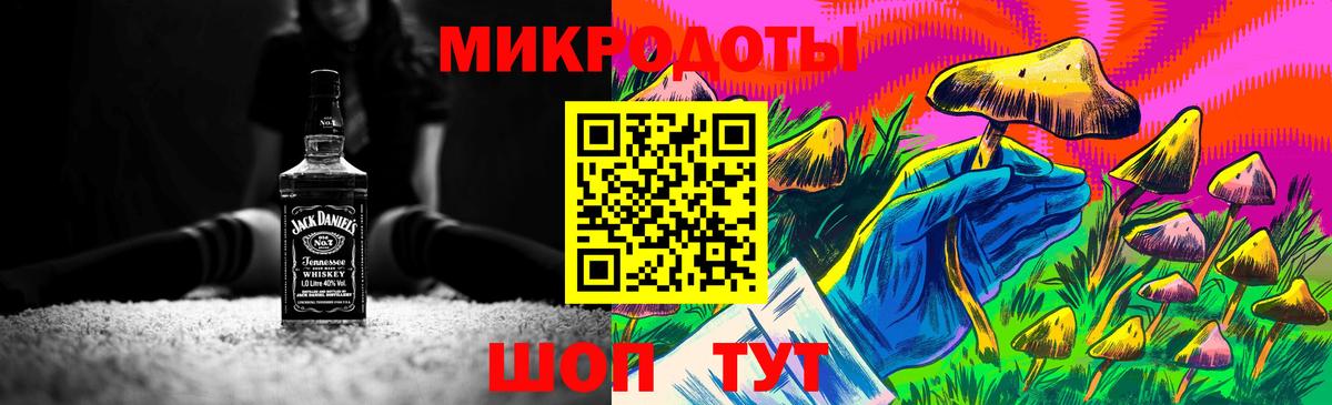 Галлюциногенные грибы Cubensis Новомосковск