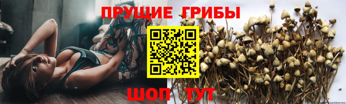 Меф Новомосковск